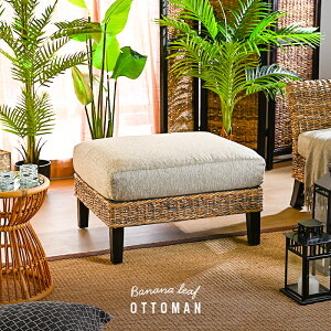 AWAƋ Ibg} \t@[ u oii[t 70cm ؐ NbV  JWA nCA i` AWA 썑 ][g CeA eCXg Ƌ rO Ohana