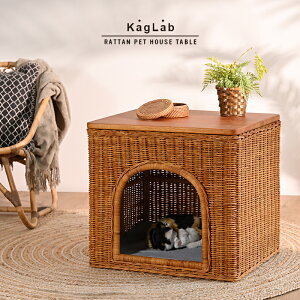 ybgnEX XNGA ^e[u ِ TChe[u ىƋ AWAƋ L xbh nEX h[ xbh   ^ Lxbh AWAƋ ECG135MER