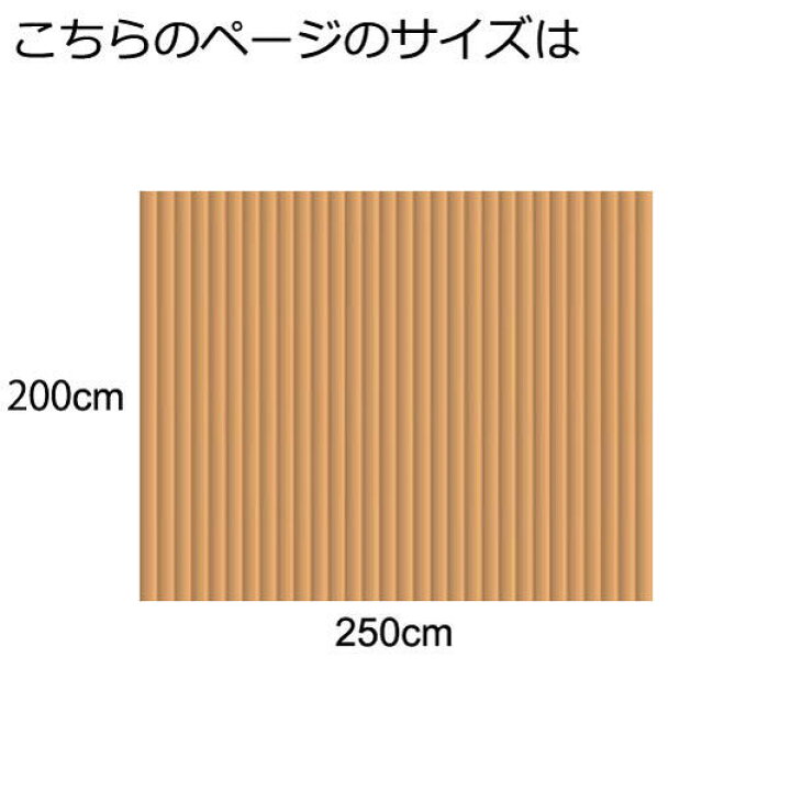 楽天市場】【アウトレット】 籐カーペット 籐むしろ 200×250cm 裏付 