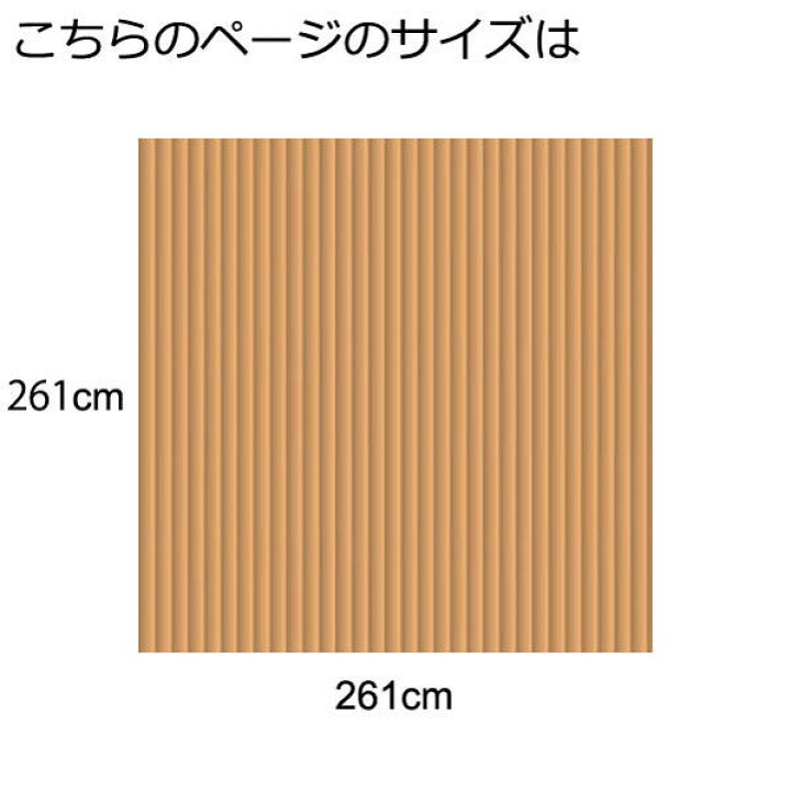 楽天市場】籐カーペット 籐むしろ 4.5畳 4畳半江戸間 261×261cm 裏付 