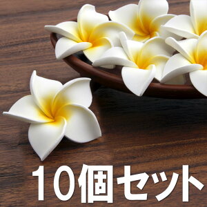 yOUTLET SALEz450390~!! vAԁyF10Zbgz@@CeAR[fBl[g tFCNt[ A[gt[ tWpj AWAG݁@oG݁@nCAG