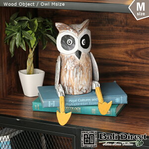 yOUTLET SALEz19991599~!! AWAG MTCY  u tNE̒u l` õAWACeA ؒ̃IuWF AWA][g oG AWA AWACeA