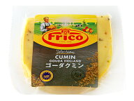オランダ フリコ スパイスゴーダ クミン 100g　冷蔵便