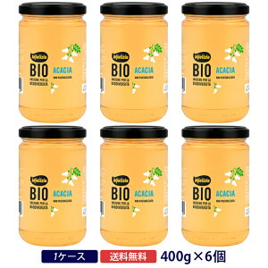 ~GcBA AJVA̗L@n`~c 400gI[KjbN ݂͂ Mielizia