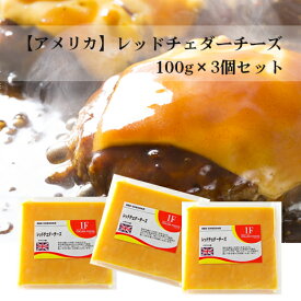 チーズ 3個セット【送料無料】アメリカ レッドチェダーチーズ 100g×3個合計300g アメリカンチーズフェア 詰め合わせ 冷蔵便