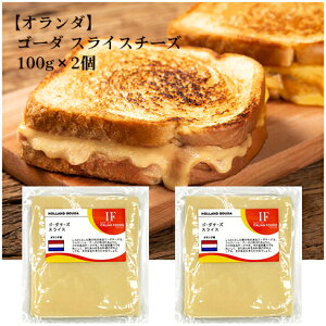 _Gg[Ń|Cg10{^I_ tR S[_ XCX`[Y 100g ①