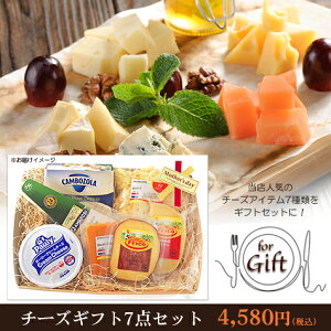 チーズ フレッシュチーズ セットの人気商品 通販 価格比較 価格 Com