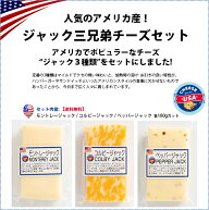 【送料無料】アメリカ ジャックチーズ三兄弟◆カット3種セットモントレージャック 100gカット◆コルビー…