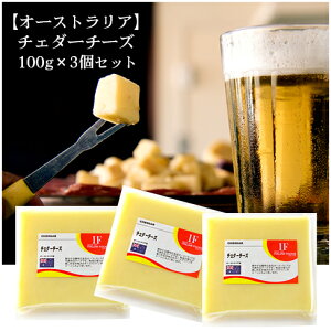 I[XgA `F_[`[Y 100g@①