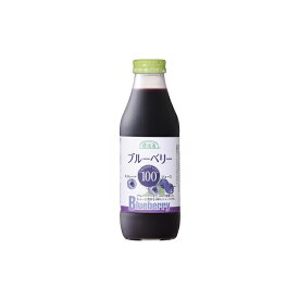 順造選　果肉入り100％シリーズ果汁100％ストレートジュース　ブルーベリー100　500ml│ブルーベリー│果汁100％│マルカイコーポレーション│