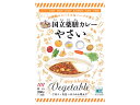 国立薬膳カレー 野菜 辛口 200g