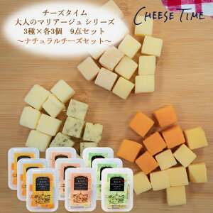 `[Y yzCheese Timel̃}A[WV[Y e50g×3ZbgzCg`F_[×S[_n[uT\[×p~W[mbW[mS[_}Ch×~bgI_