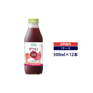 I V`AYUN100% UNW[X 500ml bXg[g^Cv넠}JCR[|[V