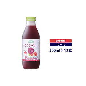 I@ʓ100V[Yʏ`100Xg[gW[X@Nx[100@500mlNx[ʏ`100Xg[g}JCR[|[V