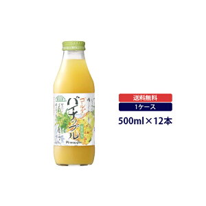 I@S[f@pCibvW[X@500mlpCibvʏ`100}JCR[|[V