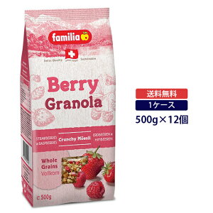 yP[X̔zt@~A x[ Om[ 500g×12 1P[Xfamilia VA