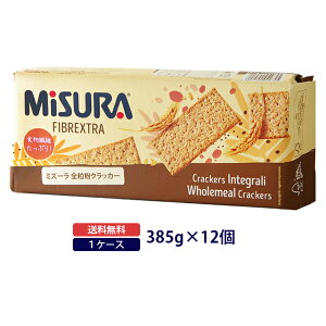 ~Y[ SNbJ[ 385gOnNbJ[ z[EB[g