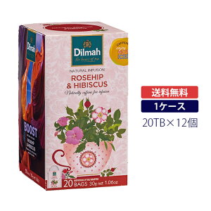 yyVX[p[SALEzfB}g [YqbvnCrXJXEt[ 20TBDilmah ROSEHIP AND HIBISCUS n[ueB[ mJtFC