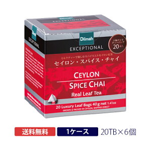 _Gg[Ń|Cg10{^fB}g ZCEXpCXE`C eB[obN 20TBDilmah CEYLON SPICE CHAI g `C ~NeB[GNZvViV[Y