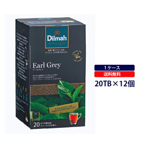 ySALEzfB}g O A[OC eB[obO 20TBDilmah g A[O[