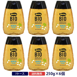 ~GcBA AJVA̗L@n`~c(XNC[U[{g) 250gI[KjbN ݂͂ Mielizia