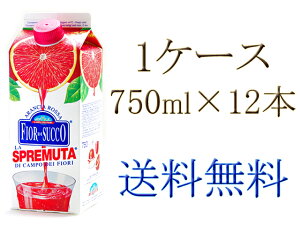  J|EfBEtBI ⓀubhIWW[X 750ml 1P[Xi12{)Ⓚ