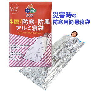 4w\łI hEhA~Q 펞AЊQ̖hpȈՐQ܂ł