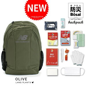 yhЃobOz j[oX bvgbv obNpbN iOLIVEFI[uj19C` ×hЃObY 13_Zbg iLAB13099 19inchj po hЃbN hЃobO New Balance Laptop Ba