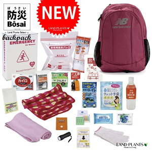 yhЃobOz j[oX phЃobN 21_Zbg iBURGUNDYFo[KfBj iLAB13099 19inch × LD-50j po hЃbN hЃobO New Balance Laptop Backpack bvgb