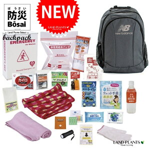 yhЃobOz j[oX phЃobN 21_Zbg iGRAYFO[j iLAB13099 19inch × LD-50j po hЃbN hЃobO New Balance Laptop Backpack bvgbv obN