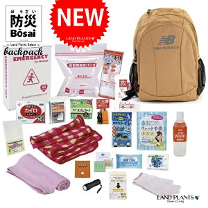 yhЃobOz j[oX phЃobN 21_Zbg iTANFx[Wj iLAB13099 19inch × LD-50j po hЃbN hЃobO New Balance Laptop Backpack bvgbv obN