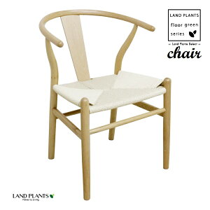 _CjO`FA Y^ ii`×zCgjki` fUCi[Y`FA y[p[R[h v_Ng AEgbg