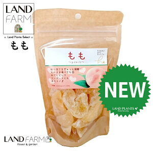 hC 155g hCt[c     ܂ ʕ dried fruit nbs[hCt[c