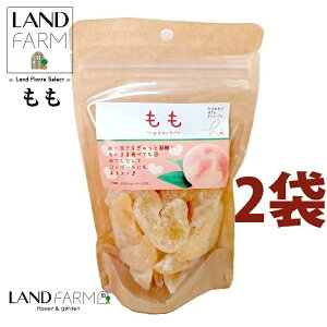 hC 155g hCt[ci2܁j     ܂ ʕ dried fruit nbs[hCt[c