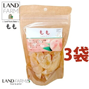 hC 155g hCt[ci3܁j     ܂ ʕ dried fruit nbs[hCt[c