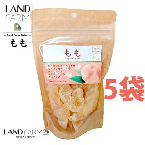 hC 155g hCt[ci4܁j     ܂ ʕ dried fruit nbs[hCt[c