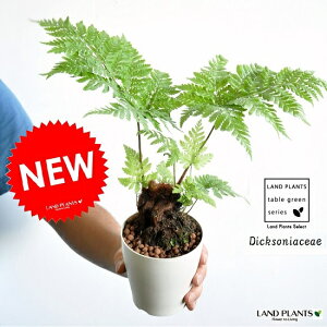 yTCYz@NEW!!@S[fL[@4TCY@^Jr@S[f`E`EEы(LER)Eni^JrjErr(qcWV_)@EAEcEc؁E