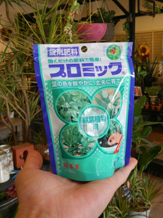 楽天市場 プロミック 置くだけ肥料 観葉植物専用 鉢土の上にパラっと置くだけ Net150g Hyponex 敬老の日 ポイント消化 観葉植物 ランドプランツ
