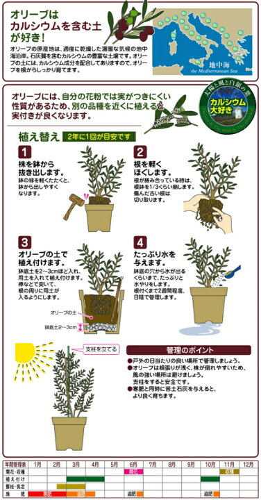 楽天市場 ガーデン用品 オリーブの土 12ｌ オリーブの木専用の土です つち 土 敬老の日 ポイント消化 観葉植物 ランドプランツ