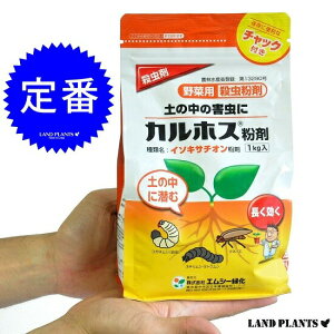 ネキリムシの殺虫剤　カルホス粉剤　1kg 　エムシー緑化　敬老の日　ポイント消化　観葉植物