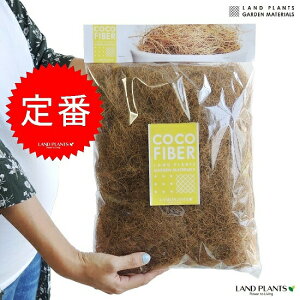 y̕\ʂB@V@ہ@RRt@Co[@100g@RRVt@Co[@ϗtA@hV̓@|Cg@ϗtA