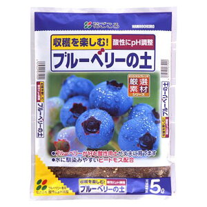 u[x[̓y@5L@ny ppyV[Y@Hanagokoro Do!@Ԃ@hV̓@|Cg@ϗtA