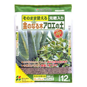 観葉植物 アガベ 培養土 用土の人気商品 通販 価格比較 価格 Com