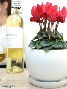 K[fVNiԉԁj F ی^ 픫 yVRӐ΁EMz VN JKroii⾉Ήԁj u^m}WEi؂\j c c ԕc  A A ԉ  bh  z