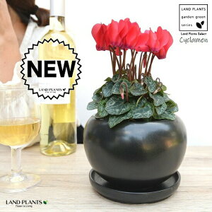 K[fVNiԉԁj F  픫 yVRӐ΁EMz VN JKroii⾉Ήԁj u^m}WEi؂\j c c ԕc  A A  bh  ub