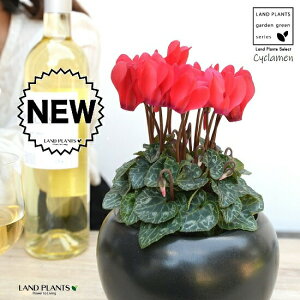 K[fVNiԉԁj F  픫 yVRӐ΁EMz VN JKroii⾉Ήԁj u^m}WEi؂\j c c ԕc  A A  bh  ub