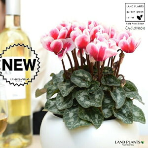 K[fVNiFԉԁj F ی^ 픫 yVRӐ΁EMz VN tC ~bNX JKroii⾉Ήԁj u^m}WEi؂\j c c ԕc  A 