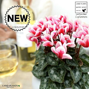 K[fVNiFԉԁj F ی^ 픫 yVRӐ΁EMz VN tC ~bNX JKroii⾉Ήԁj u^m}WEi؂\j c c ԕc  A 