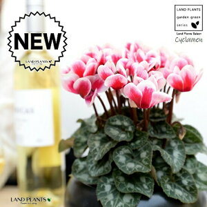 K[fVNiFԉԁj F  픫 yVRӐ΁EMz VN tC ~bNX JKroii⾉Ήԁj u^m}WEi؂\j c c ԕc  A 