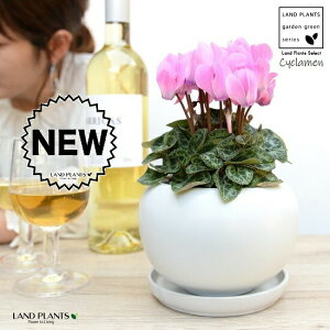 K[fVNisNj F ی^ 픫 yVRӐ΁EMz VN tC ~bNX JKroii⾉Ήԁj u^m}WEi؂\j c c ԕc  A A 